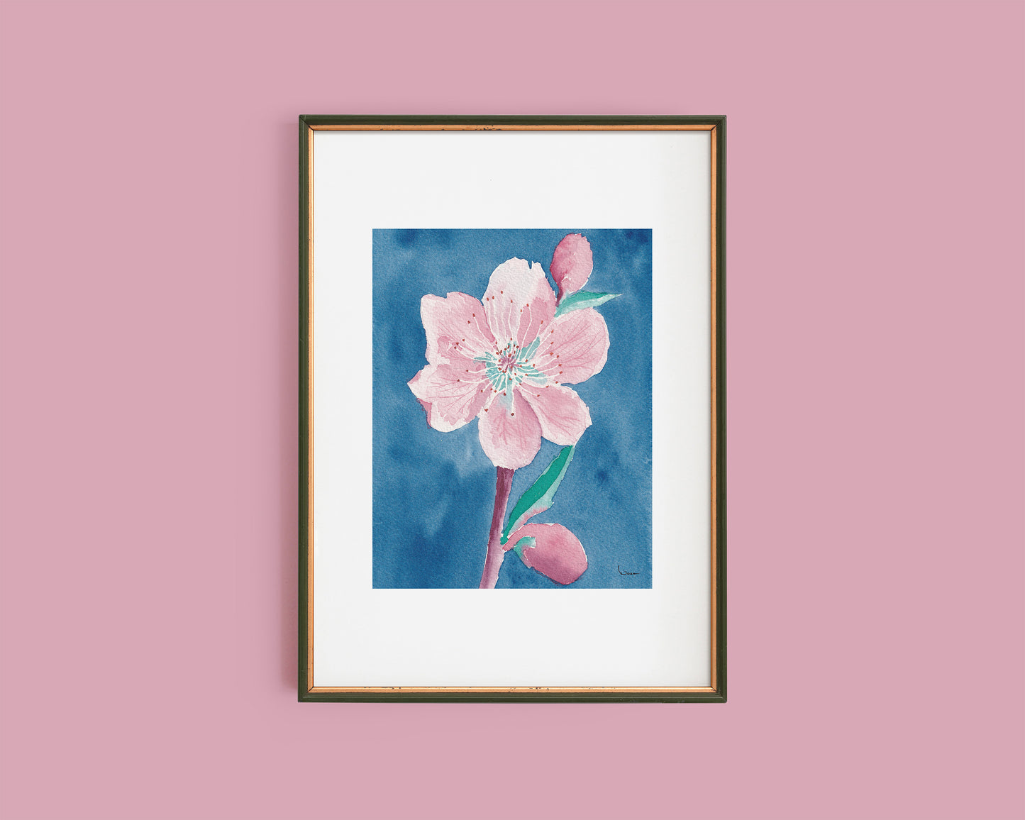 Cherry Blossom, Girl