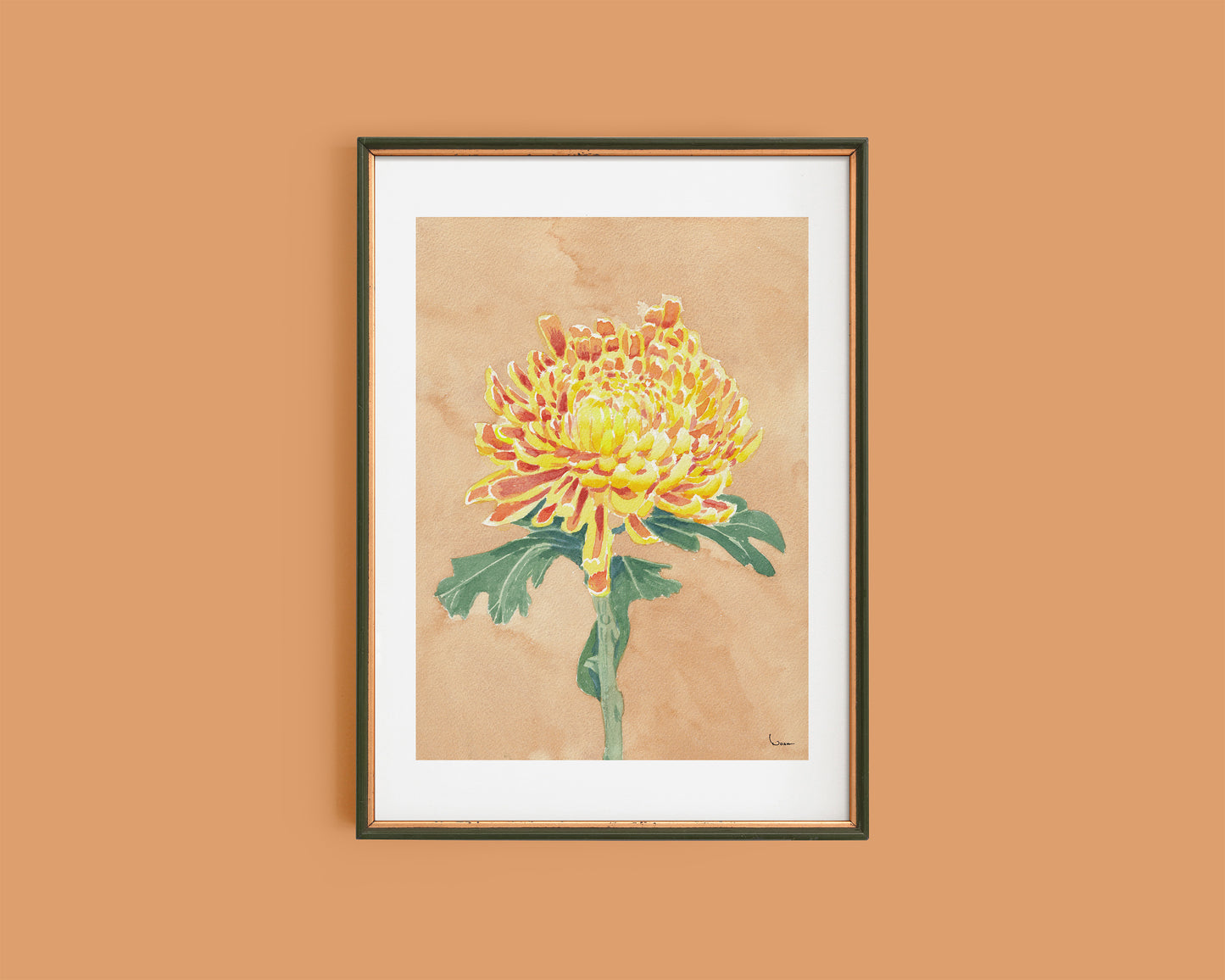 Chrysanthemum’s the Word