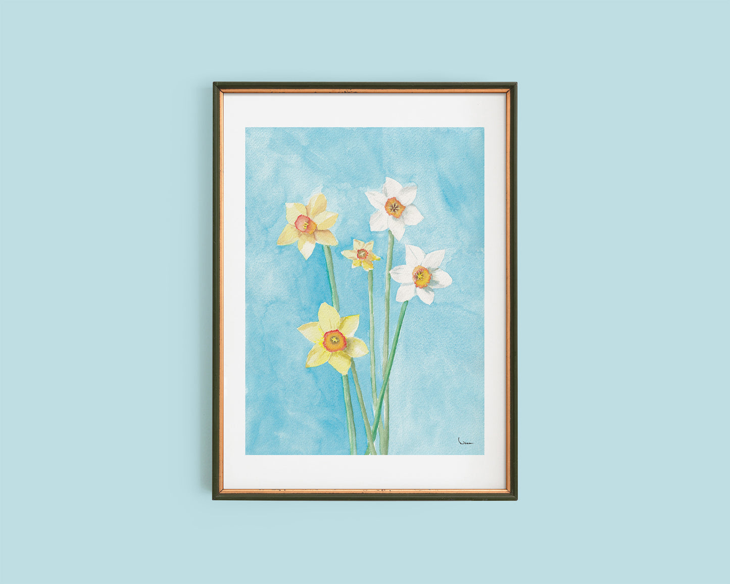 Daffodils, Darling