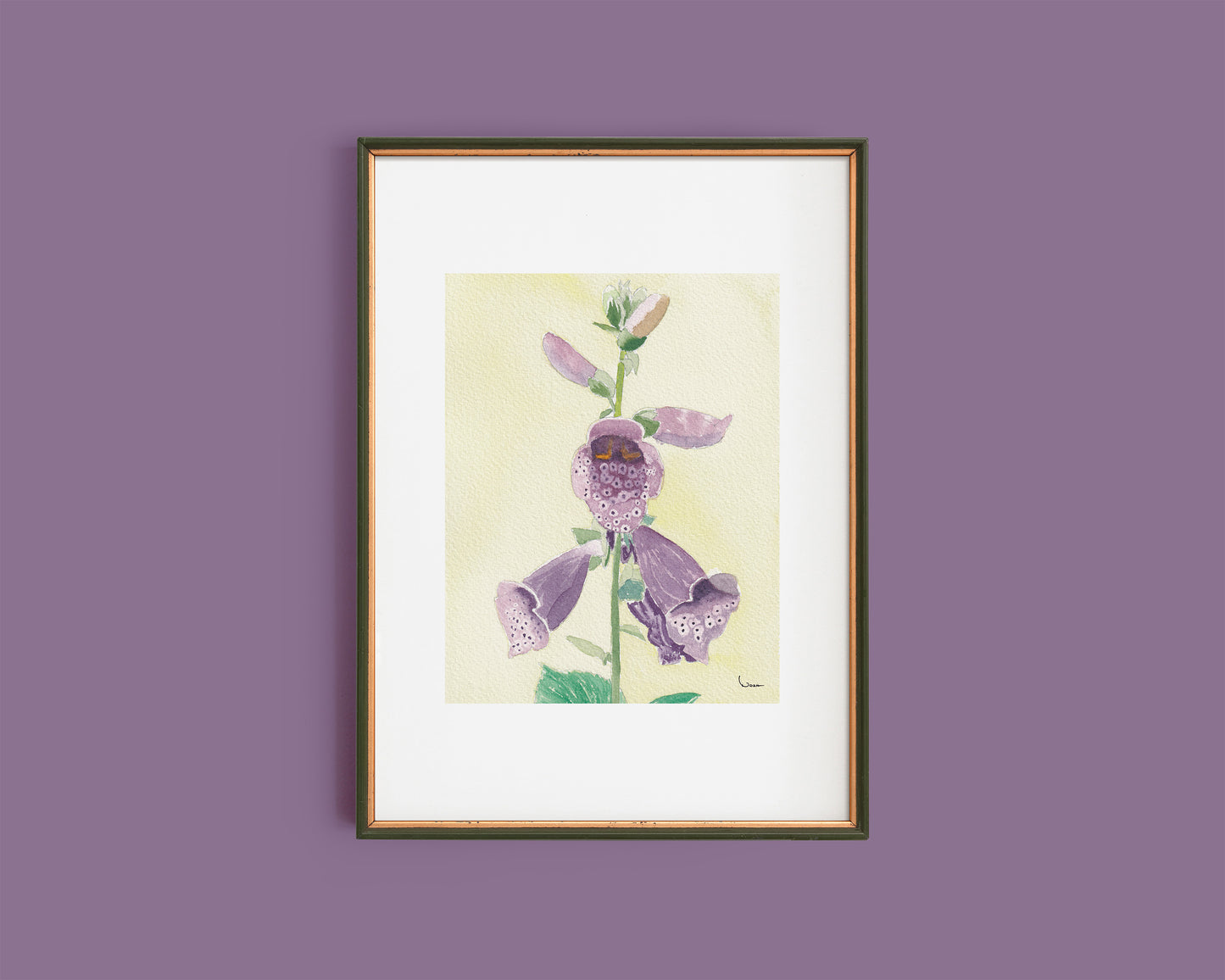 Lookin’ Fly, Foxglove