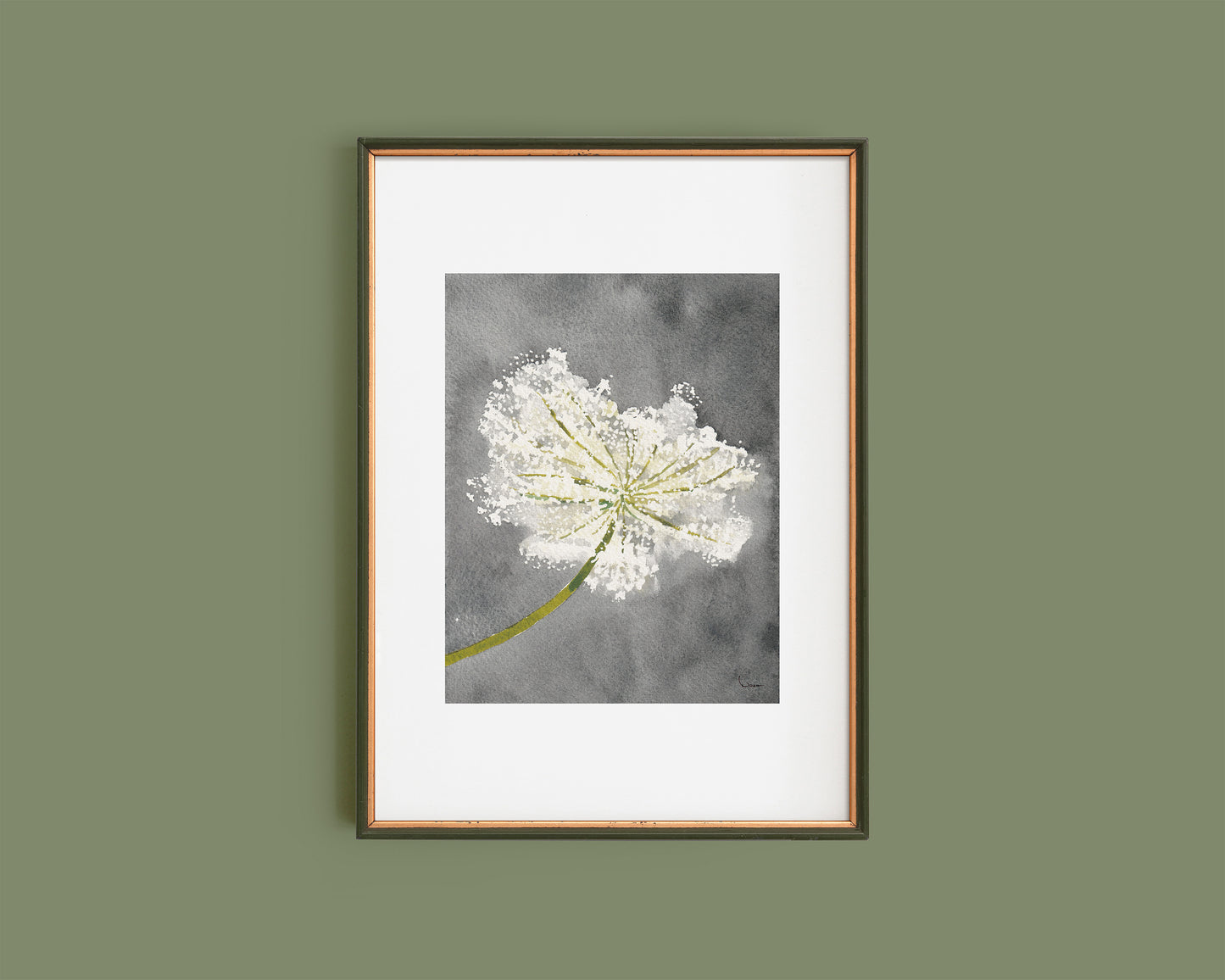 Long Live the Queen Anne’s Lace